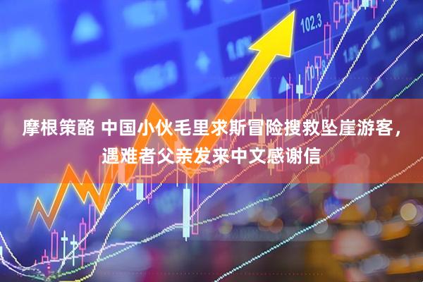 摩根策酪 中国小伙毛里求斯冒险搜救坠崖游客，遇难者父亲发来中文感谢信
