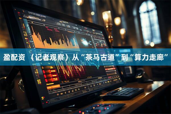 盈配资 （记者观察）从“茶马古道”到“算力走廊”