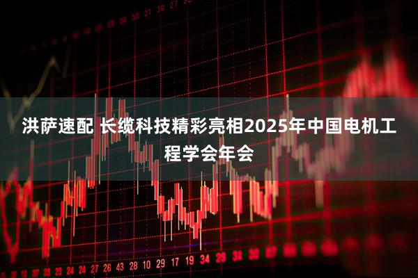 洪萨速配 长缆科技精彩亮相2025年中国电机工程学会年会